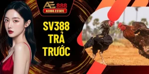 SV388 Trả Trước