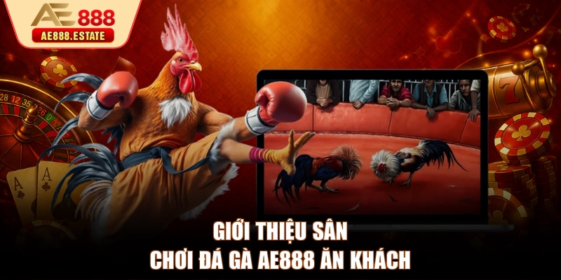 Giới thiệu sân chơi đá gà AE888 ăn khách