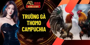 Trường Gà Thomo Campuchia